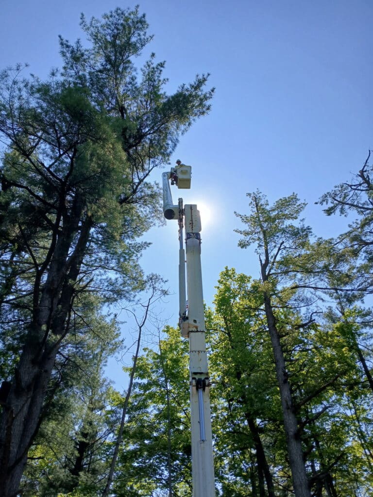 Quality Tree Service Tree Service Simcoe County, Ottawa and surrounding areas​