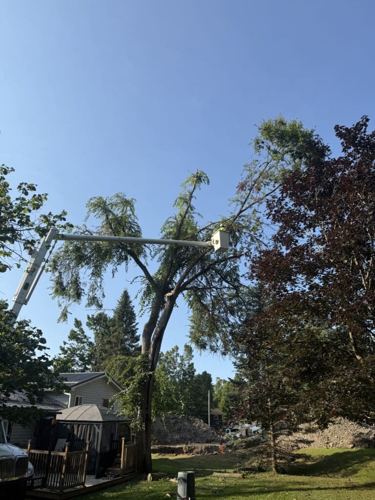 24/7 emergency service in Simcoe County, Ottawa and Surrounding Areas​